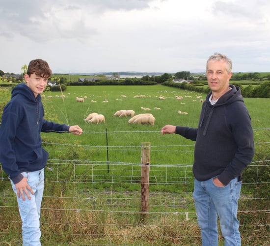 Breeding programmes offer solution to anthelmintic resistance