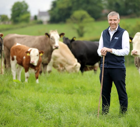 New Dairy Council NI chief executive revealed