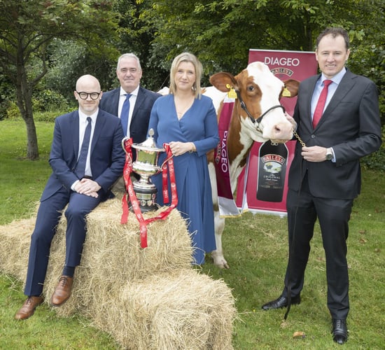 2023 Baileys cow competition opens with €13,000 prize fund