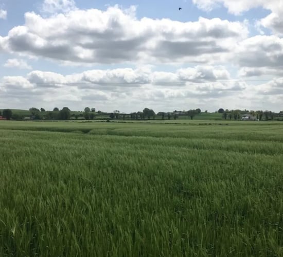 Prime Kildare tillage land makes over €23,000/ac at auction