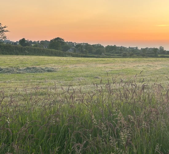 Mayo has highest number of farmers waiting for ACRES payments