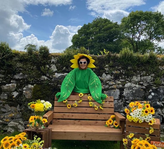 Diversification: Sunflower picking on Galway farm