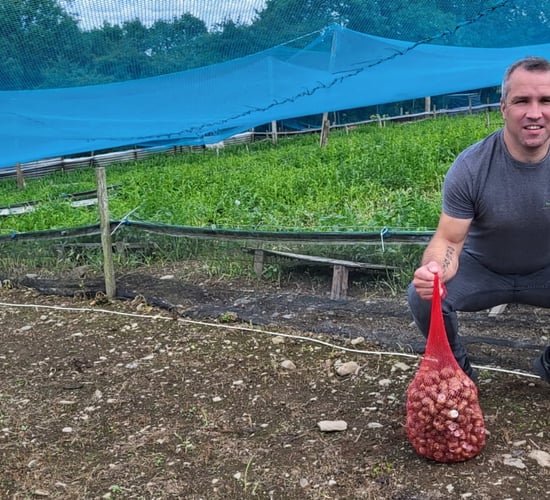Cavan farmer building Ireland's first snail processing plant