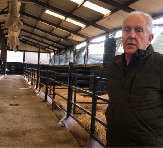 Wicklow Calf Company reaffirms commitment to calf welfare