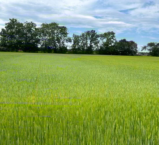 Can Sweden lead the way for Irish farmers to embrace 'recycled' fertilisers?