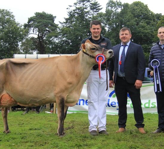 Large turnout for Antrim Show 2023