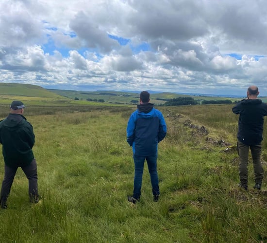 Investigation launched into poisoning of 2 white-tailed eagles