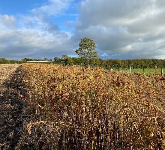 CAFRE creates online tool to assess habitat scores on farms