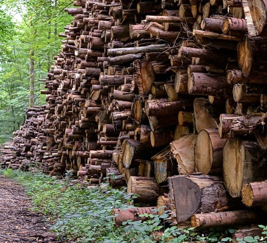 DAFM issued 32 forestry licences last week