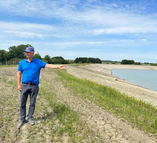 Pioneering Swedish farm transforms soils through 'conservation'