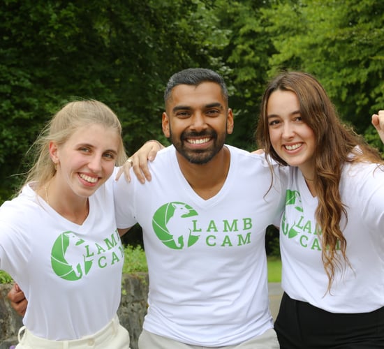 Students win €5,000 prize for 'lambing' software