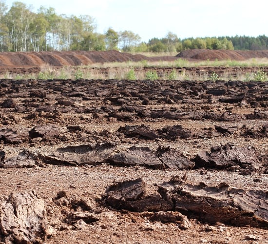 CSO: Ireland has imported 20,000t of peat in the past year