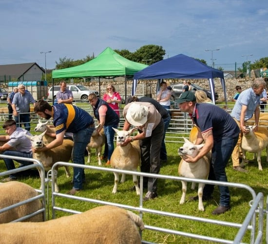 Oldcastle Agricultural Show lines up busy programme