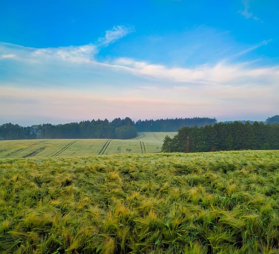 Polish farmers reach deal to end blockade of Ukraine border