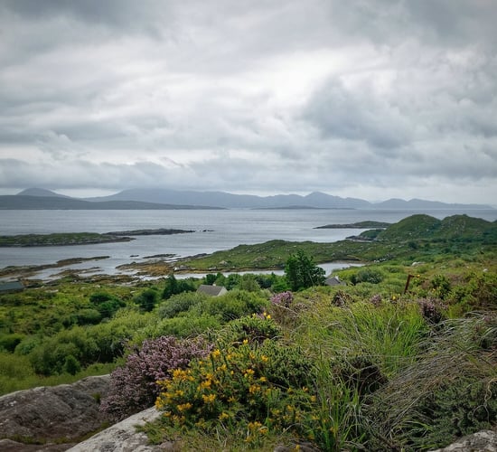 EU Council paves way for final wording on water quality framework