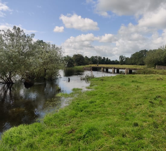Funding imminent for Shannon Callows farmers