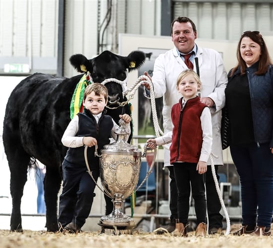 Oldcastle family wins All-Ireland Angus Association title
