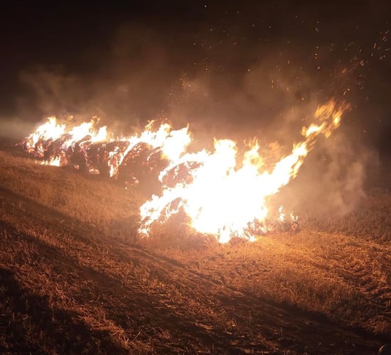 Investigation into suspected 'criminal damage' after bales set on fire