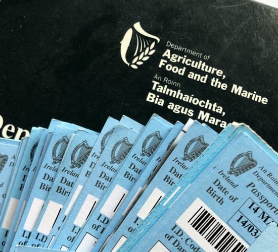 Over 200,000 cows had no calf registered last year