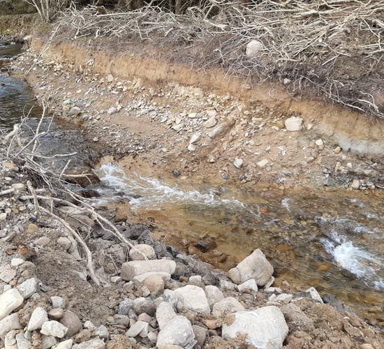 Two landowners fined €8,500 for 'ecological destruction' of 2 rivers