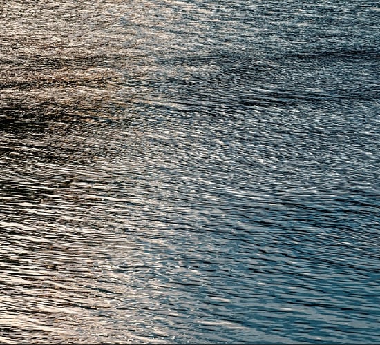 NI: No coastal water bodies or lakes achieved high ecological status in 2024