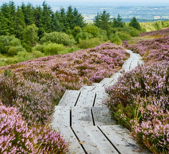New €17m tourism project for former peat-dependent areas