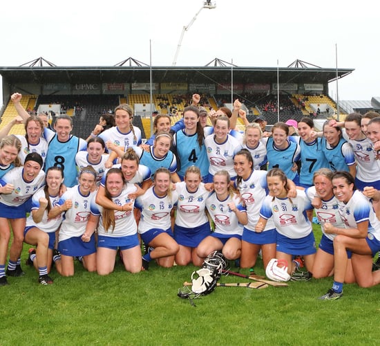 Agri-business backs All-Ireland camogie finalist