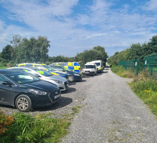 Gardaí raid yard and stables as €41k of drugs and cash seized