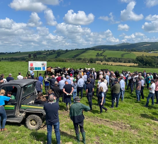 Winter feeding cattle: 'Age and growth stage determines diet'
