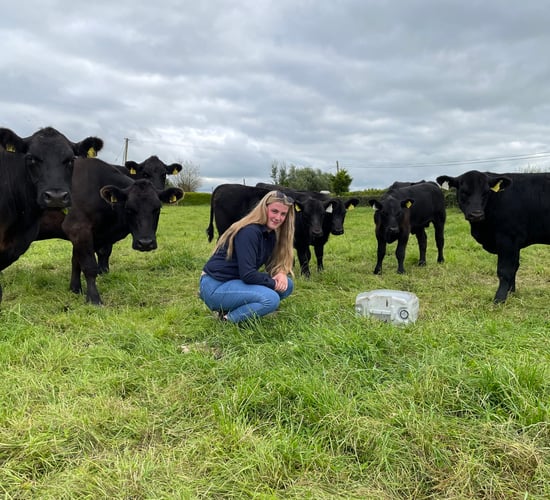 Elphin Angus and Shorthorn breeder's show success story