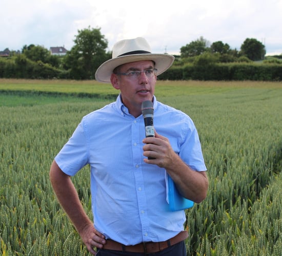 'Availability of BYDV-tolerant crops is a game changer' - agronomist