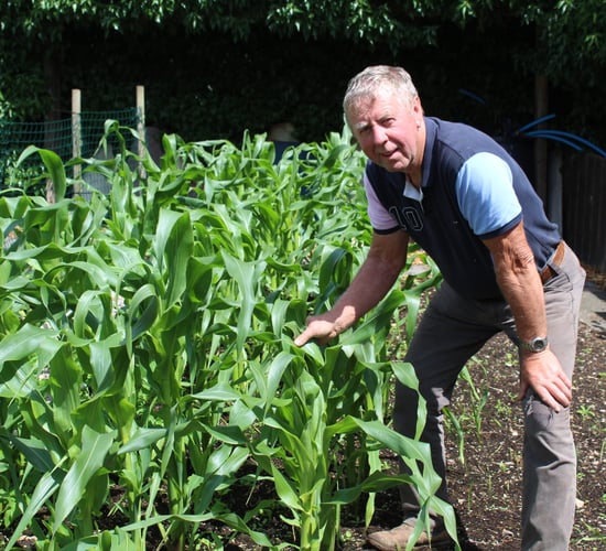 Donaghmore Horticultural Community hoping to expand