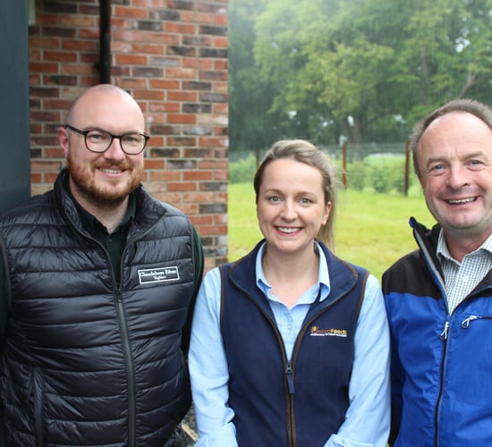 Yoghurt production and Jersey cows at Clandeboye Estate