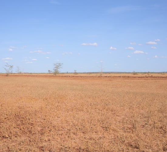Ireland's role in climate finance for global loss and damage