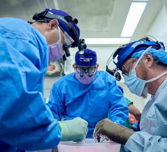 Pig kidney working for over 30 days in human body after transplant