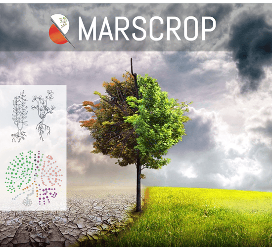 Food security - could soil from Mars become fit for farming?