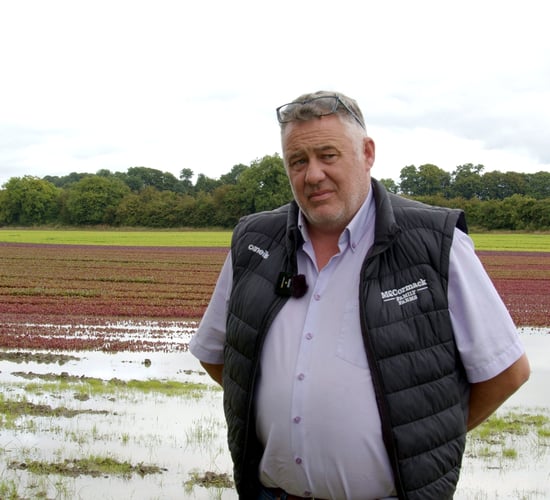 Watch: 'I've never seen a wet July like this before'