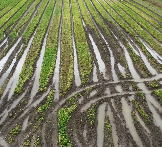 ICSA: Tillage support package will not 'mitigate the losses' on farms