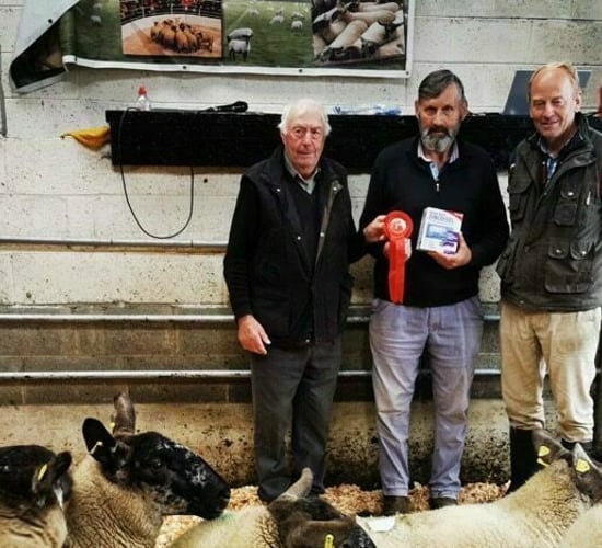 Great clearance at Tullow Sheep Breeders' show and sale