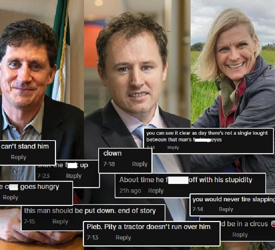 'Upsurge in nasty social media postings' - DAFM minister