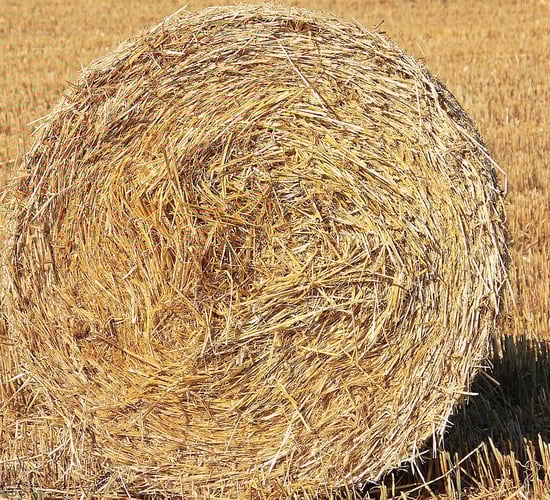 What conditions apply to the Baling Assistance Payment Scheme?