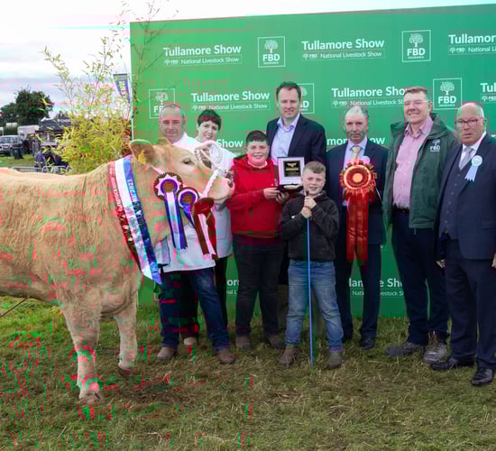 Deadline for Tullamore Show online entries approaching