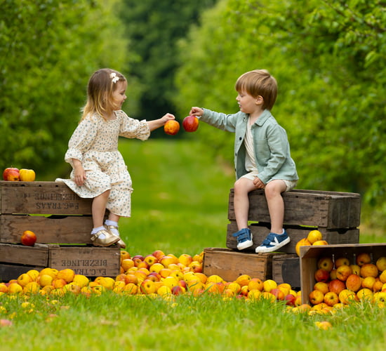 14th Waterford Harvest Festival urges 'support local'