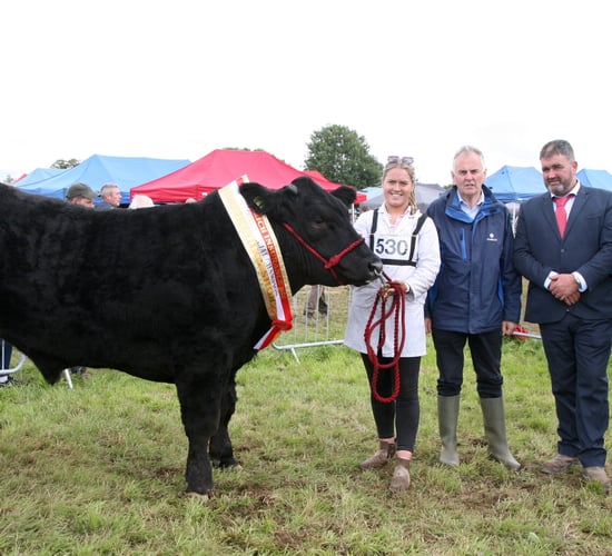 'Unbelievable numbers' attend Tinahely Show