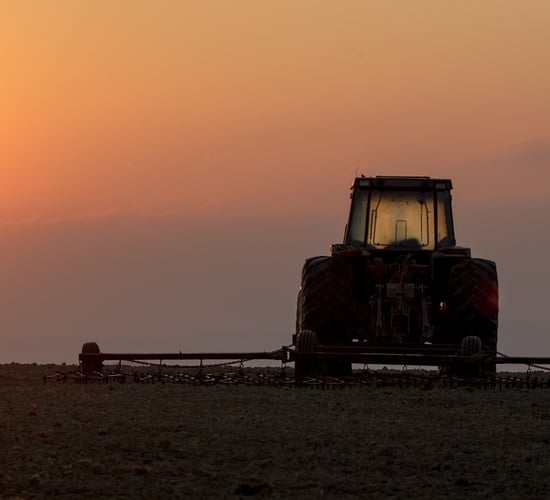 CSO: Less people working in agri, forestry and fishing sector