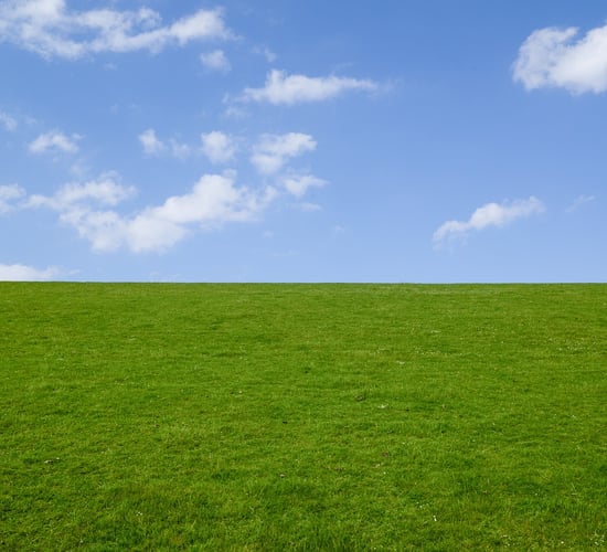 Sherry Fitzgerald: Prime grassland values grew by 9% in 2023
