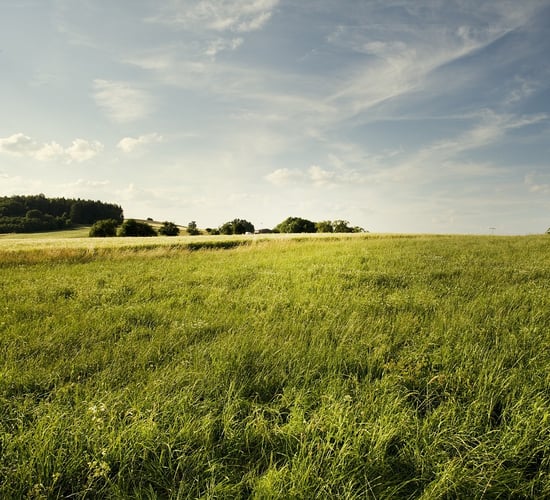 EU auditors criticise Ireland for lack of climate ambition in CAP