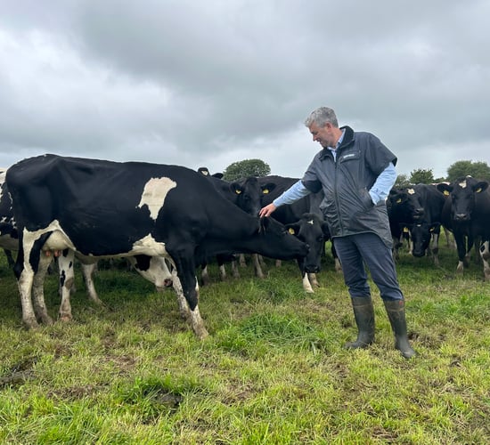 Increasing TB levels 'causing terrible stress' - Lombard