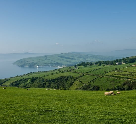 DAERA seeks public input on NI emissions targets