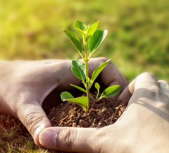 Rural Independents: Govt needs to 'empower' rural communities